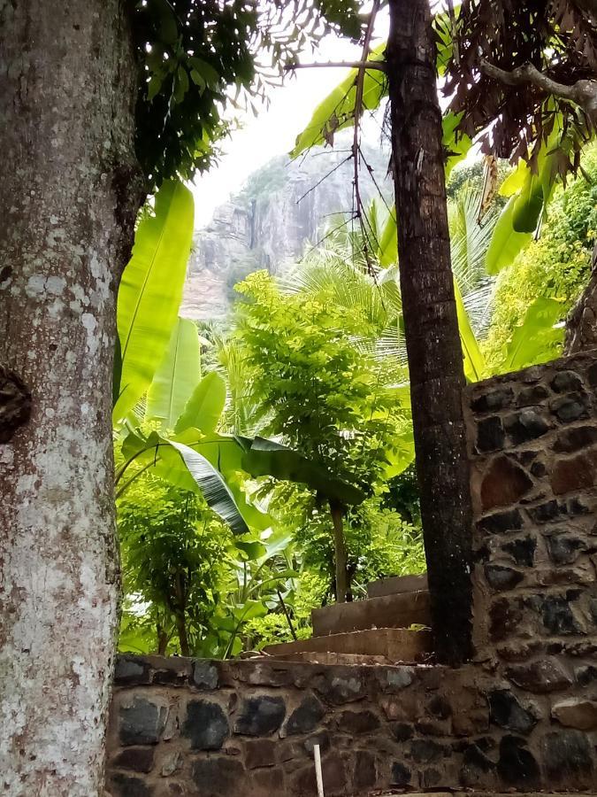 Forest Rawana Homestay Ella Εξωτερικό φωτογραφία