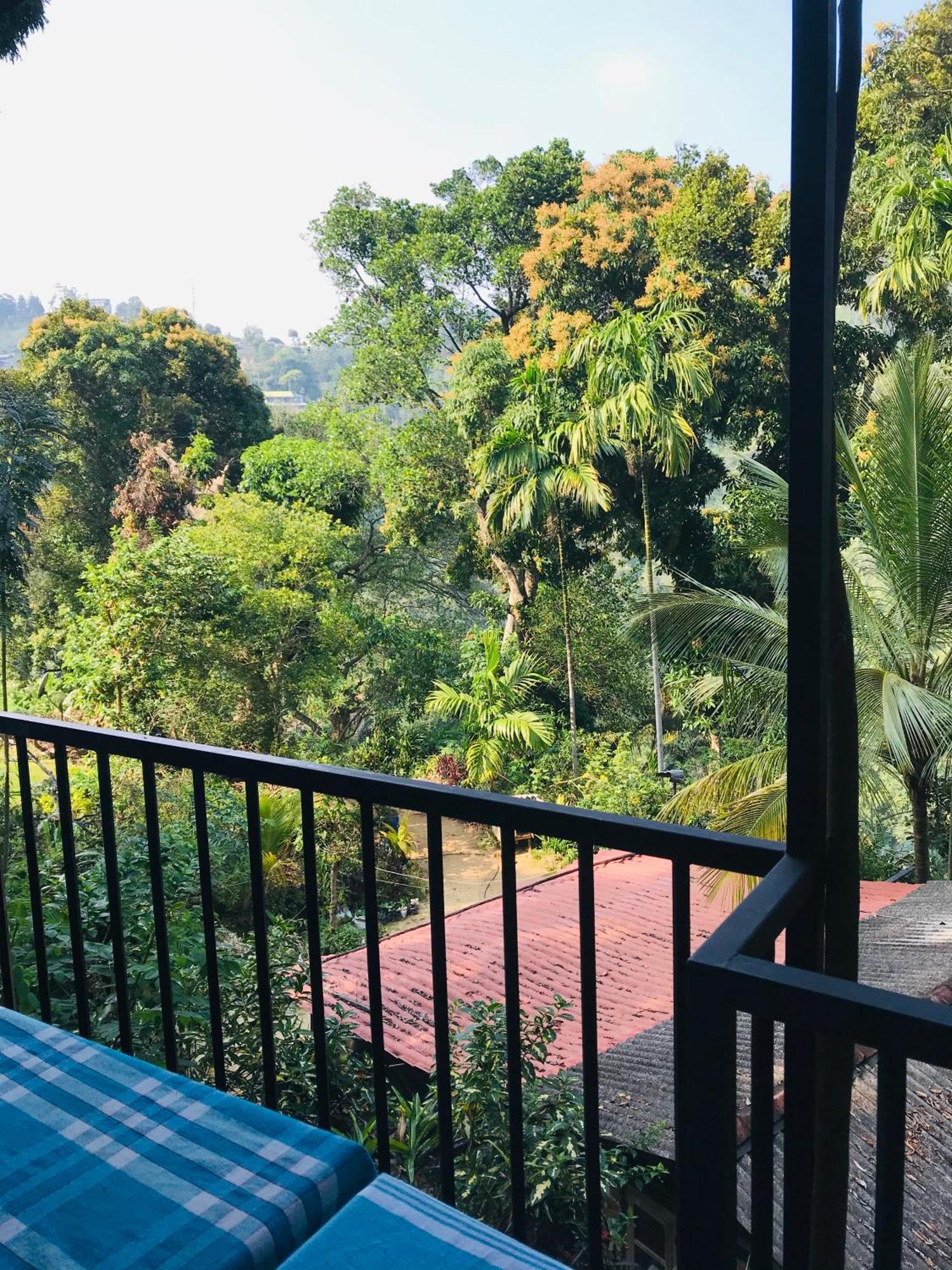 Forest Rawana Homestay Ella Εξωτερικό φωτογραφία