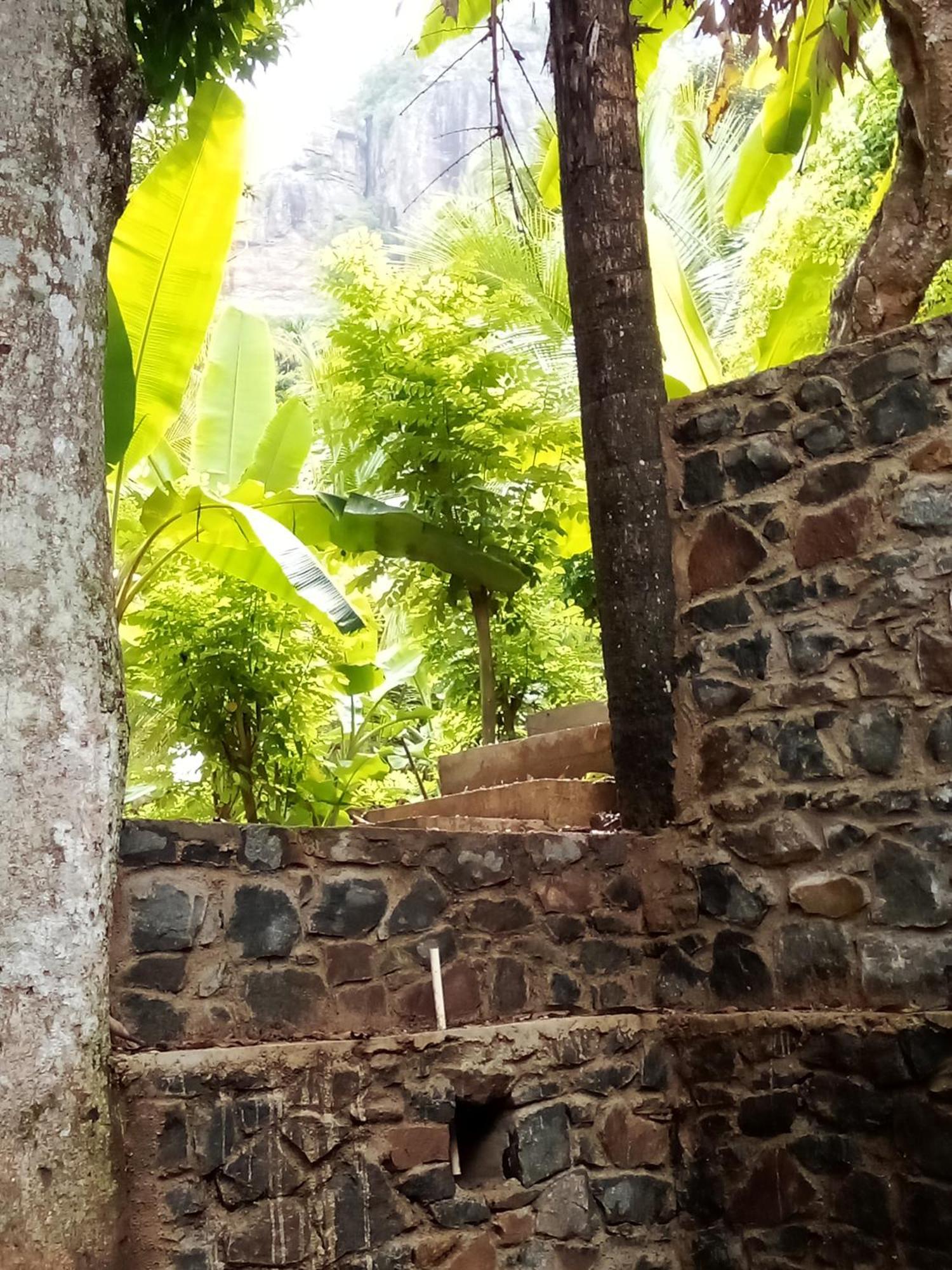 Forest Rawana Homestay Ella Εξωτερικό φωτογραφία