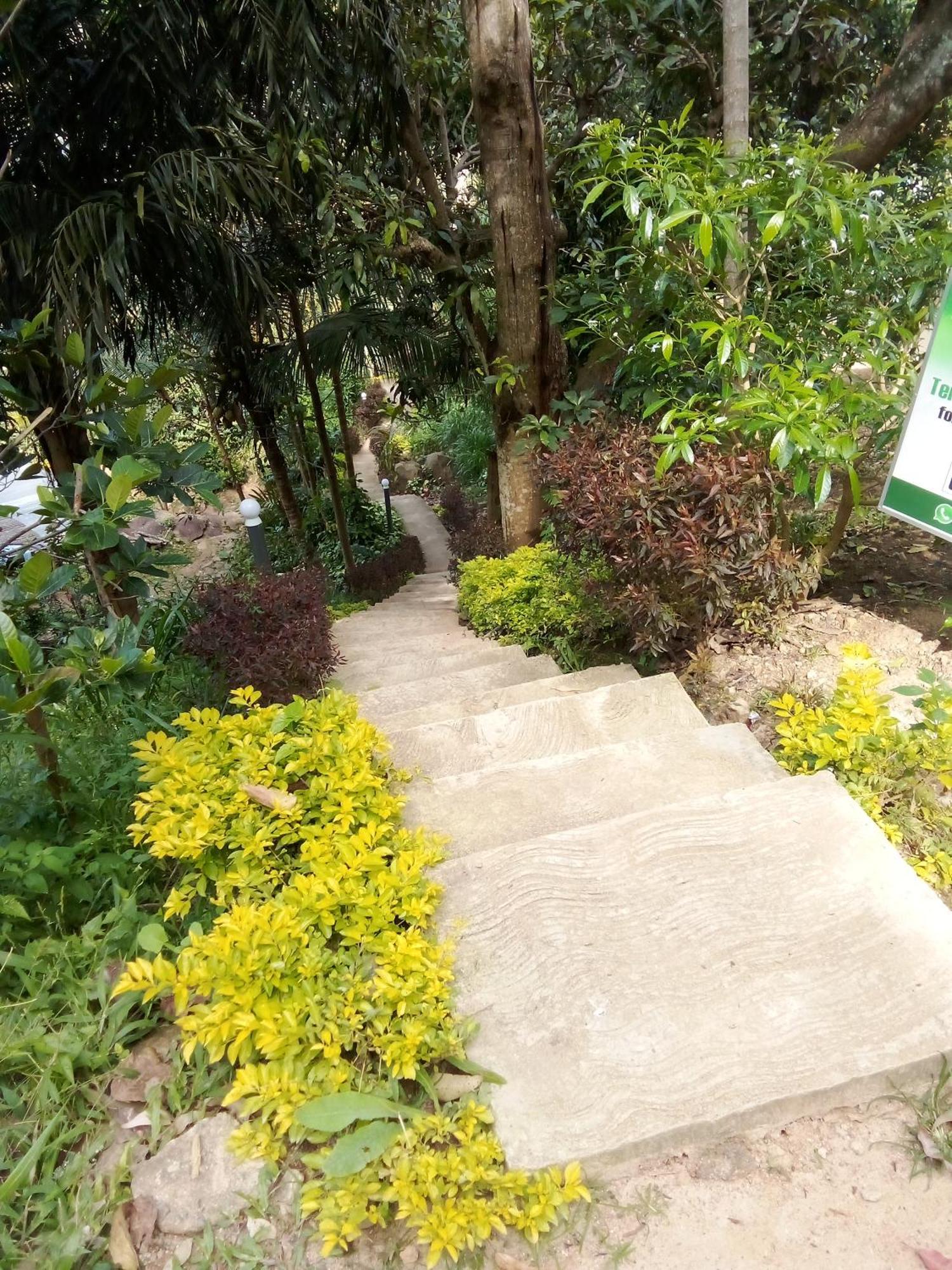 Forest Rawana Homestay Ella Εξωτερικό φωτογραφία