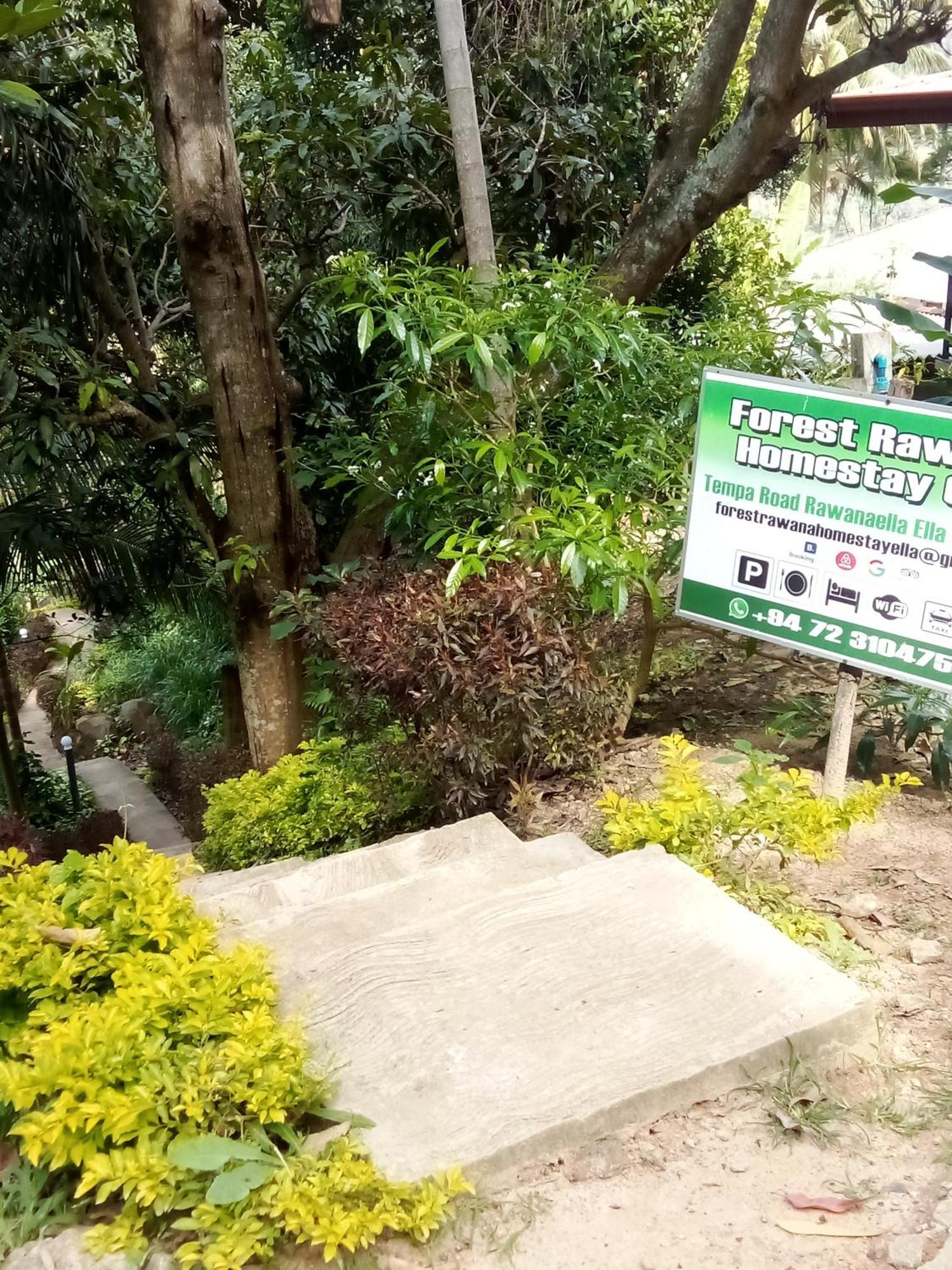 Forest Rawana Homestay Ella Εξωτερικό φωτογραφία